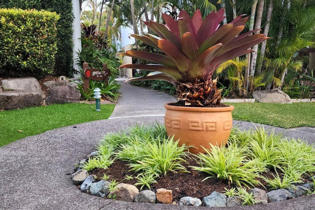 Luxury Top Floor Sunset Villa Noosaville Luaran gambar